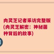 肉灵芝记者采访完整版(肉灵芝解密:神秘菌种背后的故事)
