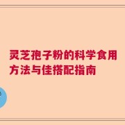 灵芝孢子粉的科学食用方法与佳搭配指南