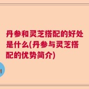 丹参和灵芝搭配的好处是什么(丹参与灵芝搭配的优势简介)