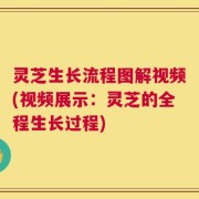 灵芝生长流程图解视频(视频展示：灵芝的全程生长过程)