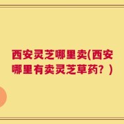 西安灵芝哪里卖(西安哪里有卖灵芝草药？)