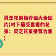 灵芝花束推荐语大全图片(时下最受喜爱的花束：灵芝花束推荐合集)