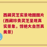 西藏灵芝实景地图图片(西藏珍贵灵芝呈现真实景象，惊艳大自然真美景)