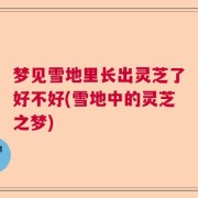 梦见雪地里长出灵芝了好不好(雪地中的灵芝之梦)