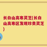 长白山高寒灵芝(长白山高寒区发现珍贵灵芝)