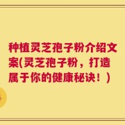 种植灵芝孢子粉介绍文案(灵芝孢子粉，打造属于你的健康秘诀！)