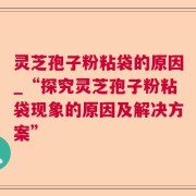 灵芝孢子粉粘袋的原因_“探究灵芝孢子粉粘袋现象的原因及解决方案”