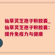 仙草灵芝孢子粉胶囊_仙草灵芝孢子粉胶囊：提升免疫力与健康