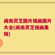 闽南灵芝图片插画图片大全(闽南灵芝插画集锦)