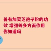 善有加灵芝孢子粉的功效 增强等多方面作用你知道吗
