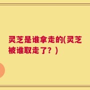 灵芝是谁拿走的(灵芝被谁取走了？)