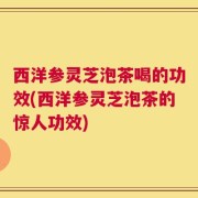 西洋参灵芝泡茶喝的功效(西洋参灵芝泡茶的惊人功效)