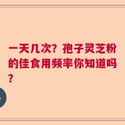 一天几次？孢子灵芝粉的佳食用频率你知道吗？