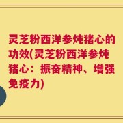 灵芝粉西洋参炖猪心的功效(灵芝粉西洋参炖猪心：振奋精神、增强免疫力)