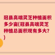 冠县高端灵芝种植面积多少亩(冠县高端灵芝种植总面积现有多大？)