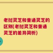 老挝灵芝和普通灵芝的区别(老挝灵芝和普通灵芝的差异简析)