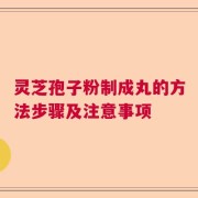 灵芝孢子粉制成丸的方法步骤及注意事项