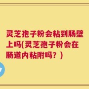 灵芝孢子粉会粘到肠壁上吗(灵芝孢子粉会在肠道内粘附吗？)