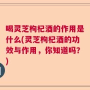 喝灵芝枸杞酒的作用是什么(灵芝枸杞酒的功效与作用，你知道吗？)