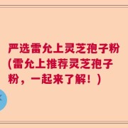 严选雷允上灵芝孢子粉(雷允上推荐灵芝孢子粉，一起来了解！)
