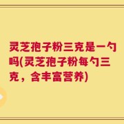 灵芝孢子粉三克是一勺吗(灵芝孢子粉每勺三克，含丰富营养)