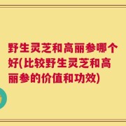 野生灵芝和高丽参哪个好(比较野生灵芝和高丽参的价值和功效)