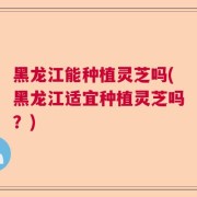 黑龙江能种植灵芝吗(黑龙江适宜种植灵芝吗?)