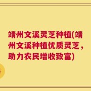 靖州文溪灵芝种植(靖州文溪种植优质灵芝，助力农民增收致富)