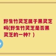 野生竹灵芝属于黑灵芝吗(野生竹灵芝是否黑灵芝的一种？)