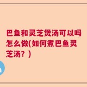 巴鱼和灵芝煲汤可以吗怎么做(如何煮巴鱼灵芝汤？)