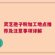 灵芝孢子粉加工地点推荐及注意事项详解
