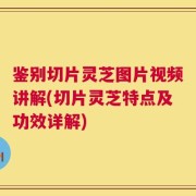 鉴别切片灵芝图片视频讲解(切片灵芝特点及功效详解)