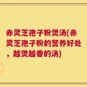 赤灵芝孢子粉煲汤(赤灵芝孢子粉的营养好处，越煲越香的汤)