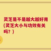 灵芝是不是越大越好用(灵芝大小与功效有关吗？)