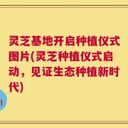 灵芝基地开启种植仪式图片(灵芝种植仪式启动，见证生态种植新时代)