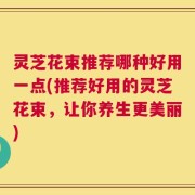 灵芝花束推荐哪种好用一点(推荐好用的灵芝花束，让你养生更美丽)