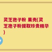 灵芝孢子粉 果壳(灵芝孢子粉提取珍贵精华)