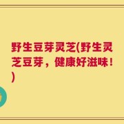 野生豆芽灵芝(野生灵芝豆芽，健康好滋味！)