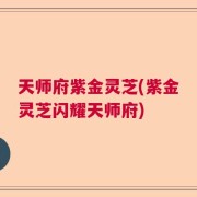 天师府紫金灵芝(紫金灵芝闪耀天师府)