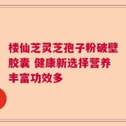 楼仙芝灵芝孢子粉破壁胶囊 健康新选择营养丰富功效多