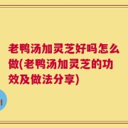 老鸭汤加灵芝好吗怎么做(老鸭汤加灵芝的功效及做法分享)