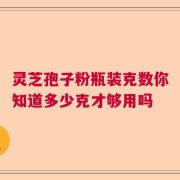 灵芝孢子粉瓶装克数你知道多少克才够用吗