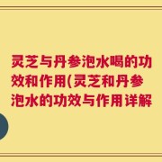 灵芝与丹参泡水喝的功效和作用(灵芝和丹参泡水的功效与作用详解
