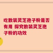 吃散装灵芝孢子粉是否有用 探究散装灵芝孢子粉的功效