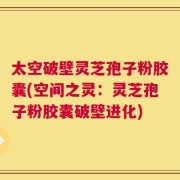 太空破壁灵芝孢子粉胶囊(空间之灵：灵芝孢子粉胶囊破壁进化)