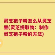 灵芝孢子粉怎么从灵芝里(灵芝提取物：制作灵芝孢子粉的方法)