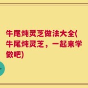 牛尾炖灵芝做法大全(牛尾炖灵芝，一起来学做吧)