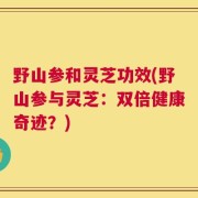 野山参和灵芝功效(野山参与灵芝：双倍健康奇迹？)