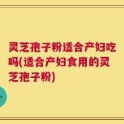 灵芝孢子粉适合产妇吃吗(适合产妇食用的灵芝孢子粉)