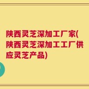 陕西灵芝深加工厂家(陕西灵芝深加工工厂供应灵芝产品)